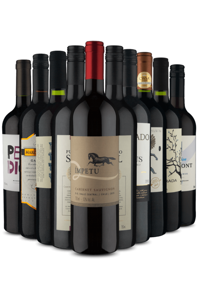 Kit Tintos Variados 10 Vinhos Drinko