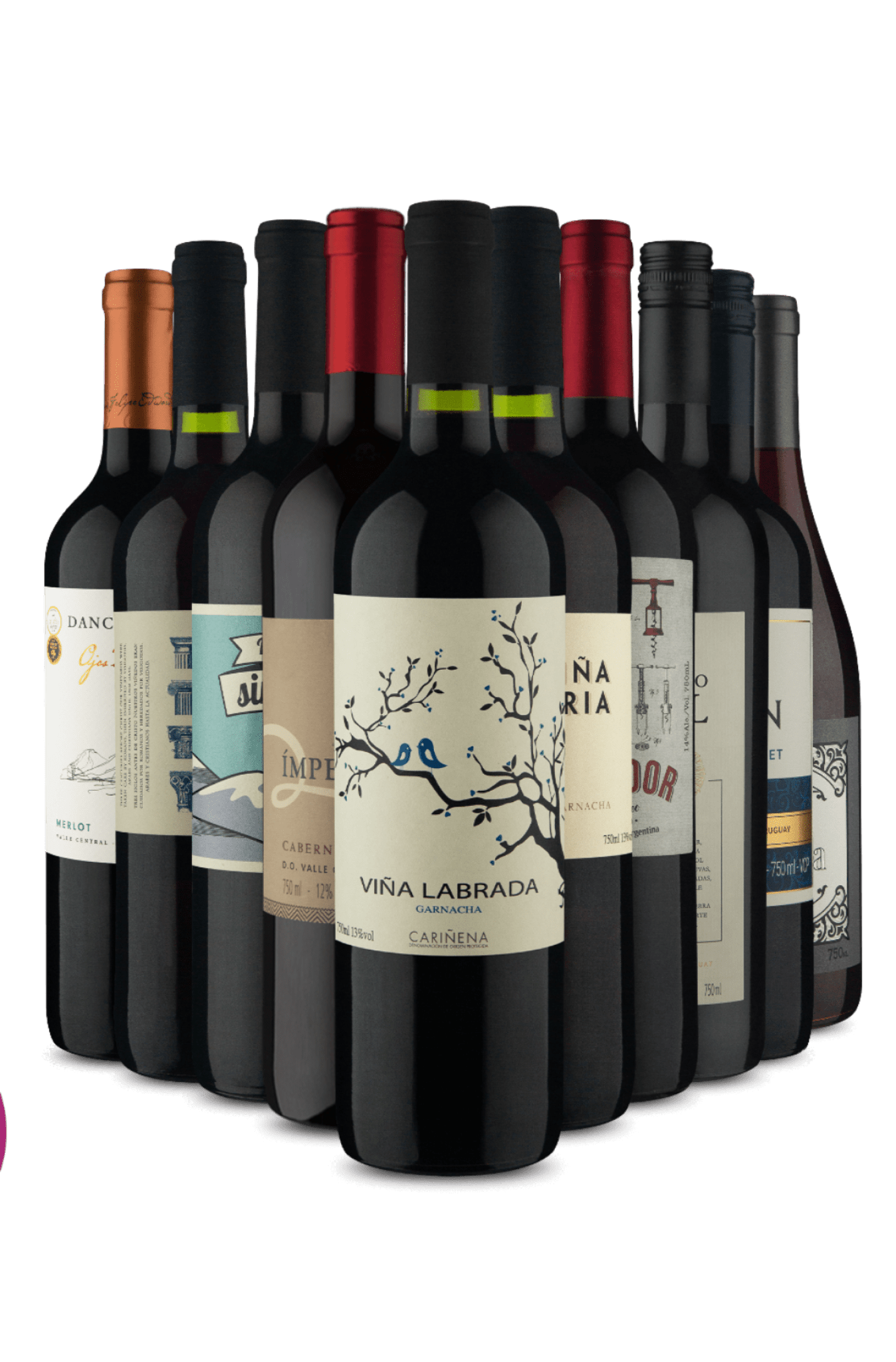 Kit Cor De Vinho 10 Vinhos Drinko