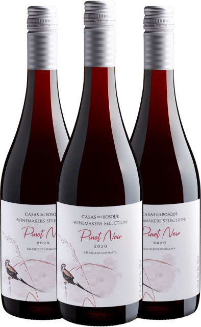 Kit 3 Casas Del Bosque Winemakers Selection Pinot Noir Valle de Casablanca D.O. 2020