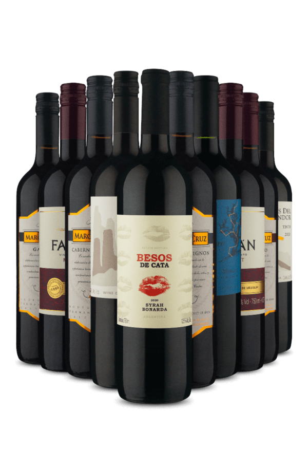 Kit Relâmpago Tintos Vinho Fácil (10 Vinhos)