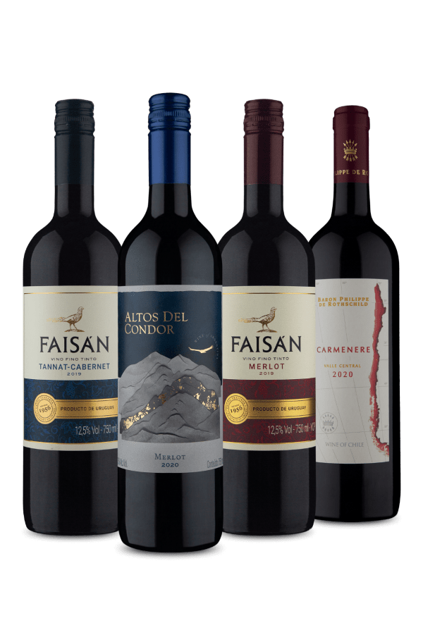 Kit 4 Espetaculares Tintos (4 Vinhos)