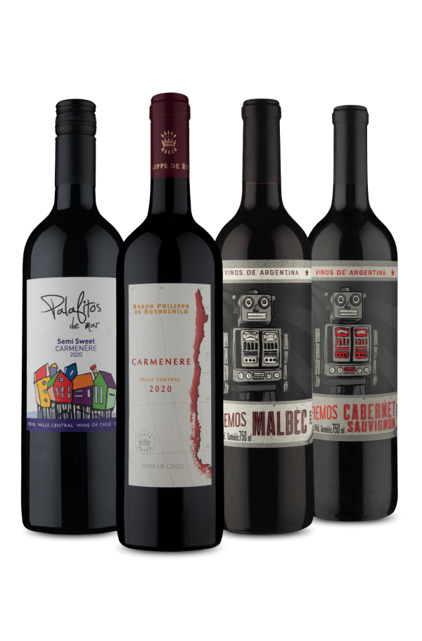 KIt Quarteto Tintos Chile + Argentina (4 Vinhos)