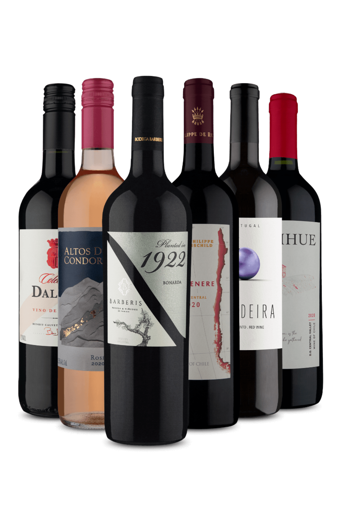 Kit 1 Rosé e 5 Tintos (6 Vinhos)