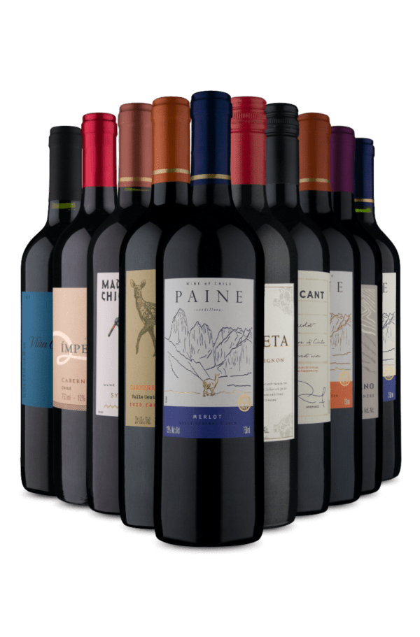 Kit Meus Vinhos Tintos (10 Vinhos)
