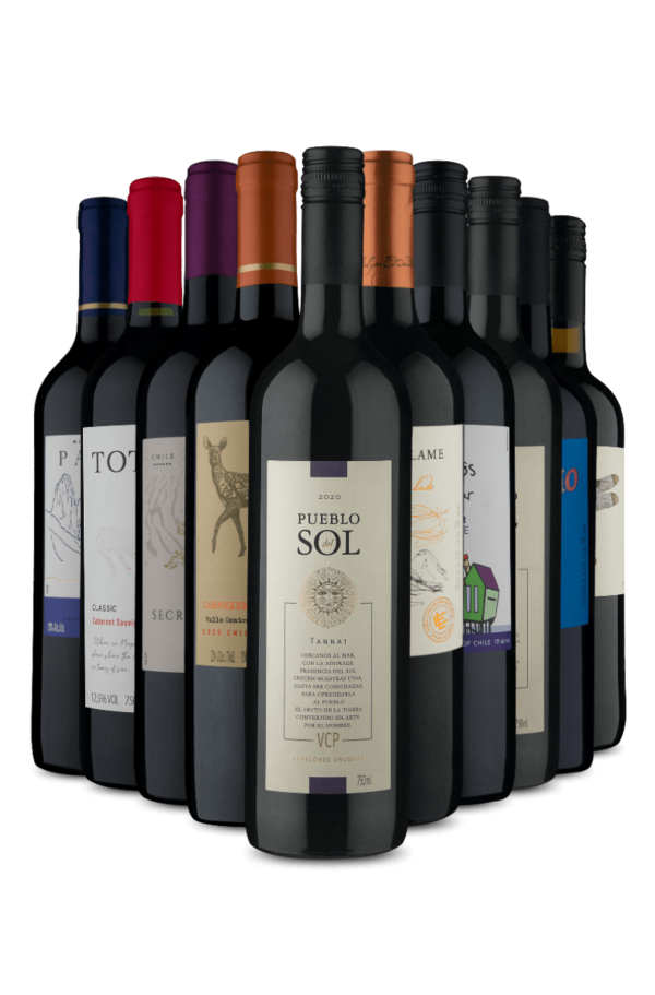 Kit Vinhos Tintos seleção Vinho Fácil (10 Vinhos)