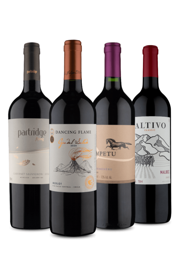 Kit Tintos Argentina e Chile (4 Vinhos)