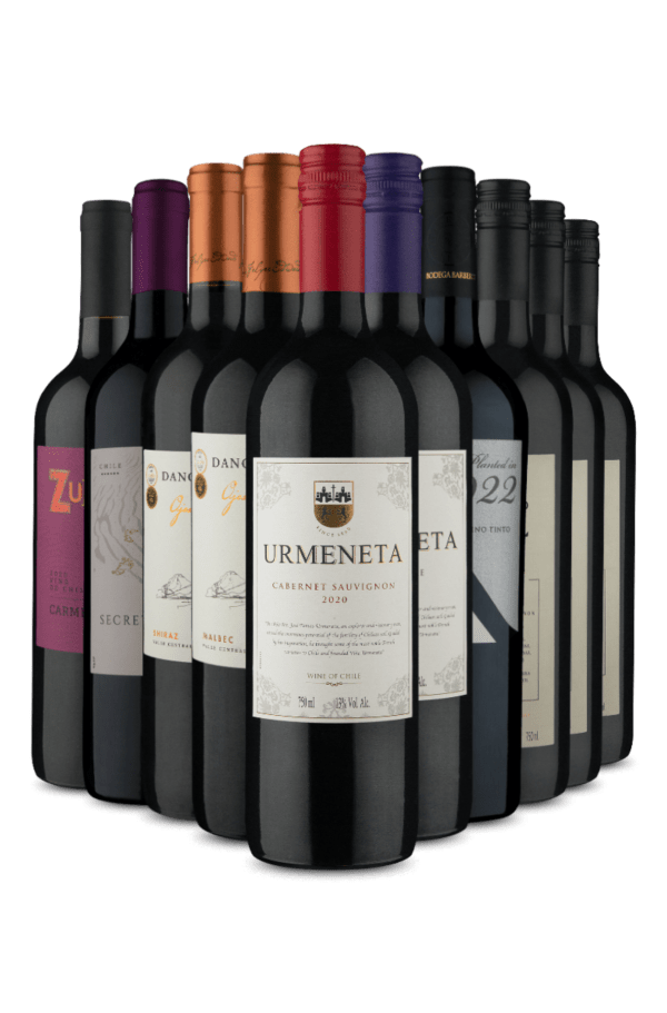 Kit Tintos selecionados da America do Sul (10 Vinhos)