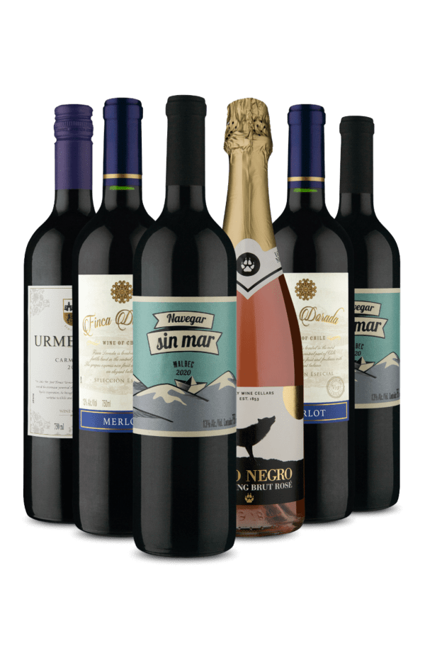Kit 6 - Espumante Entre os Tintos Premiums (6 Vinhos)