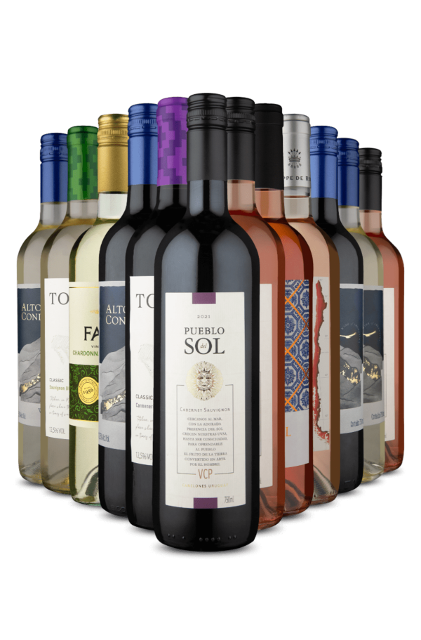 Kit 12 - Verão, Sol e Vinhos (12 Vinhos)