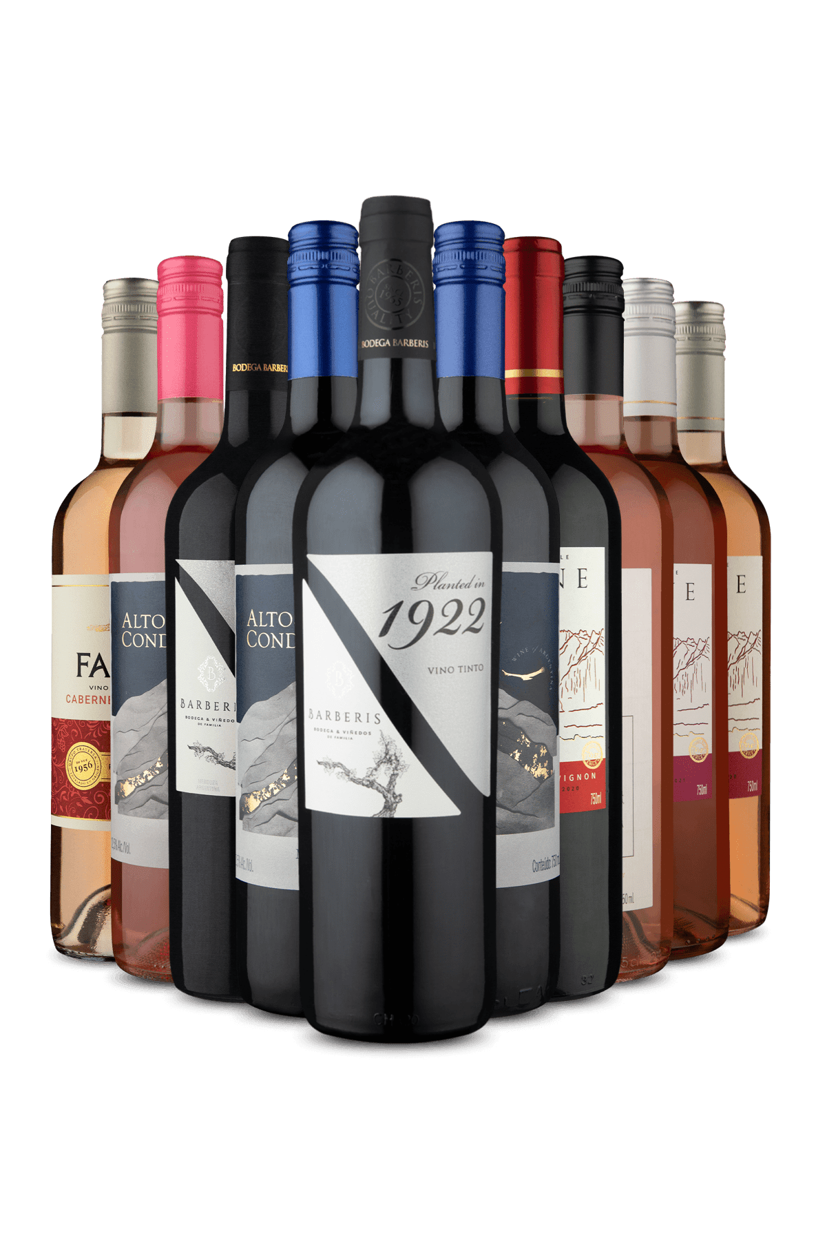 Kit 10 - 5 Tintos e 5 Rosés (10 Vinhos)