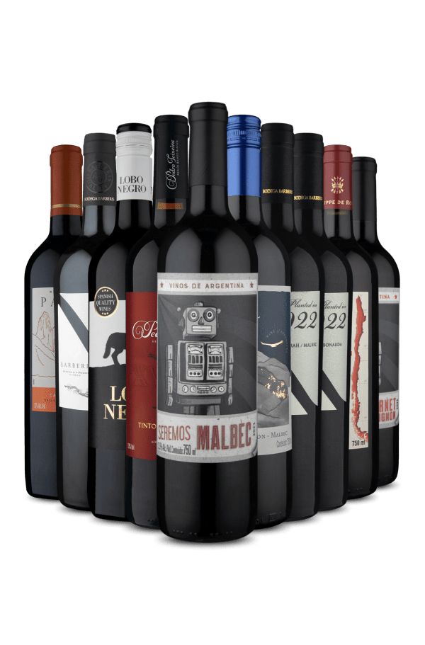 Kit 10 - Tintos com Corpo e Alma (10 Vinhos)