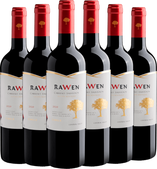 Kit 6 Rawen Cabernet Sauvignon Estate Bottled 2020