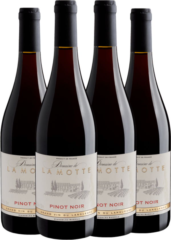 Kit 4 Domaine de La Motte Pinot Noir