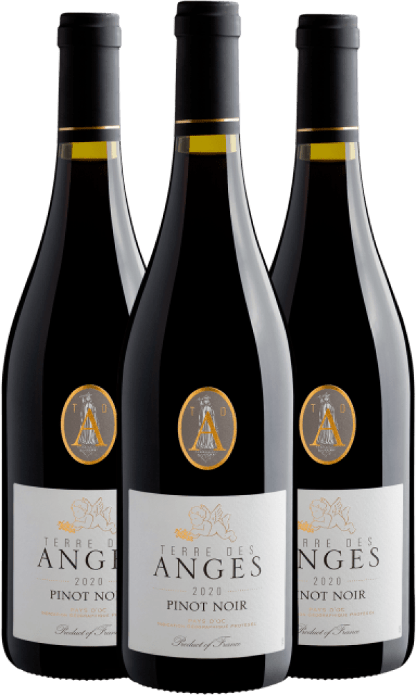Kit 3 Terre des Anges Pinot Noir 2020