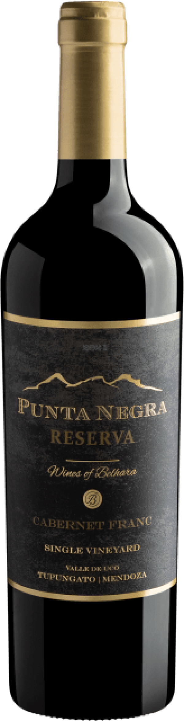 Punta Negra Reserva Cabernet Franc Single Vineyard 2021