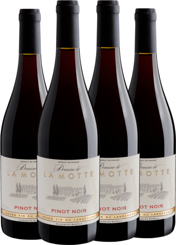Kit 4 Domaine de La Motte Pinot Noir Pays d'Oc IGP