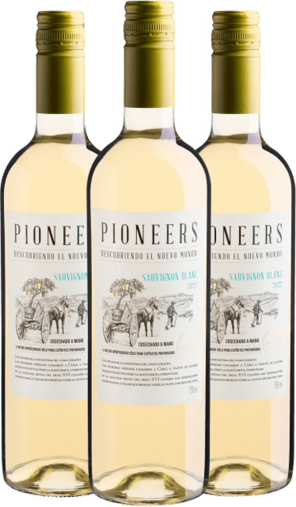 Kit 3 Pioneers Sauvignon Blanc