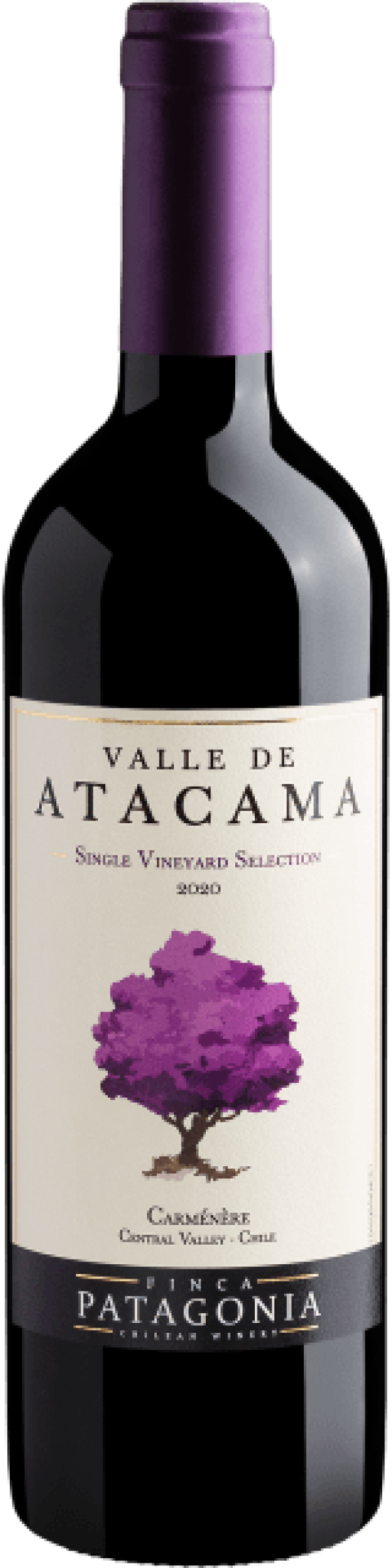Valle de Atacama Single Vineyard Selection Carménère Central Valley D.O. 2020