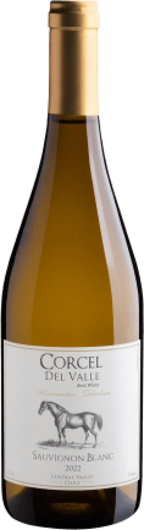 Corcel Del Valle Winemarker Selection Sauvignon Blanc Central Valley D.O. 2022