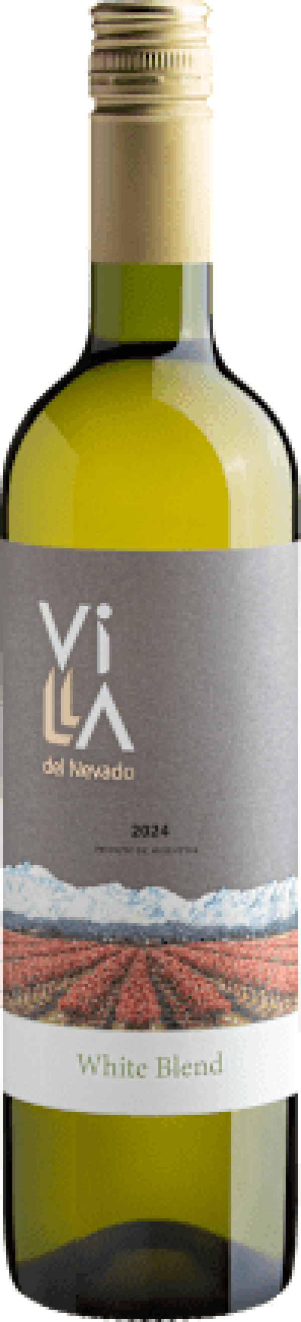 Villa del Nevado White Blend 2024