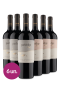 kit 6 – Partridge Flying – MALBEC E CABERNET S.