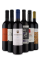 Kit com 6 Tintos Maravilhosos para um Jantar Romântico (6 Vinhos)